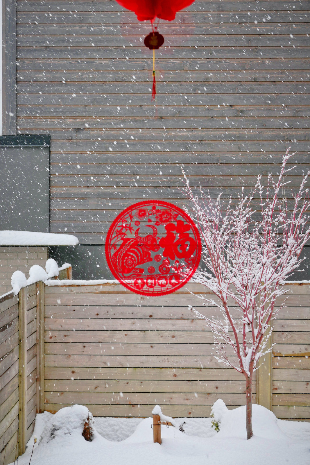 冬雪