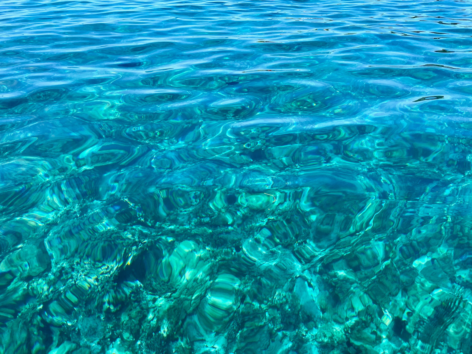 山海